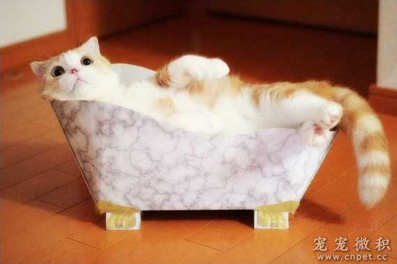《猫脚浴缸造型猫抓板》猫上皇要泡澡啦（误） - 图片1