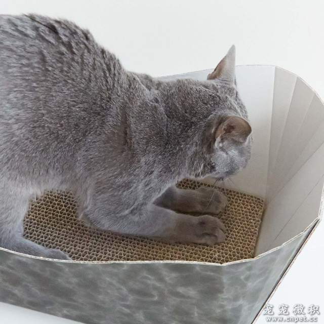 《猫脚浴缸造型猫抓板》猫上皇要泡澡啦（误） - 图片8