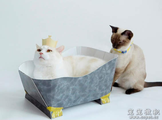 《猫脚浴缸造型猫抓板》猫上皇要泡澡啦（误） - 图片16